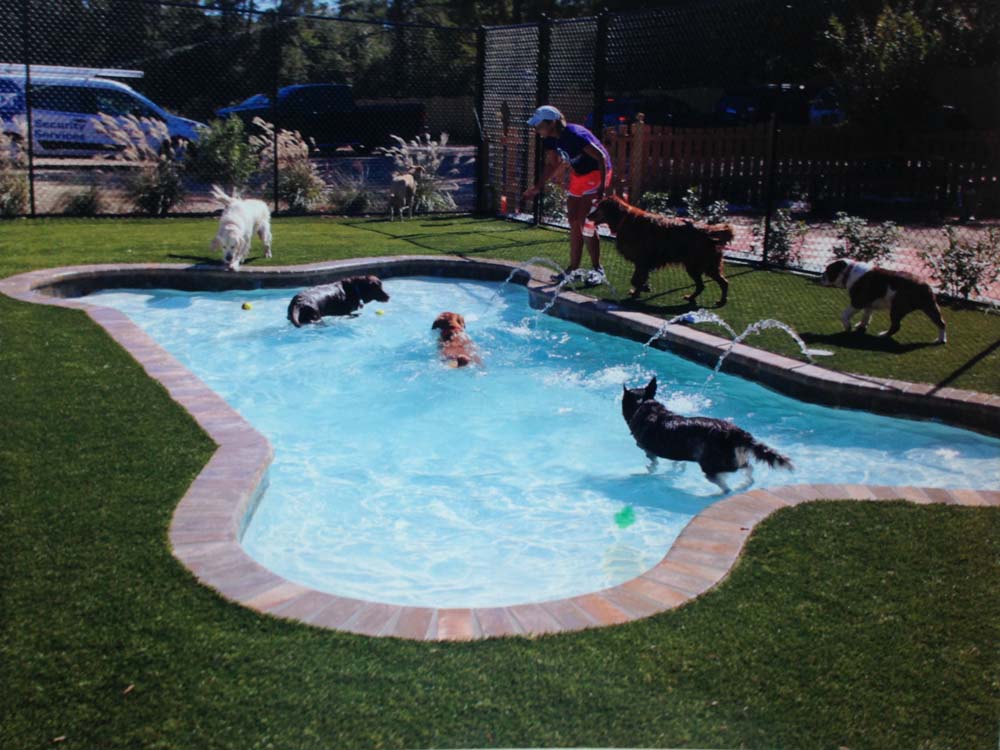 Gulf Breeze Pools and Spas